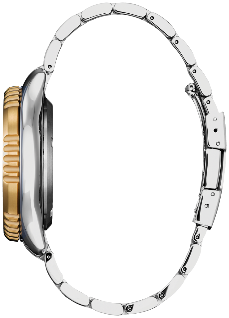 Citizen Promaster Dive Automatic