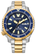 Citizen Promaster Dive Automatic