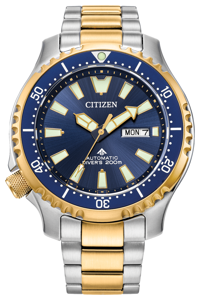 Citizen Promaster Dive Automatic